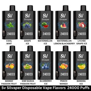 Silvaper 24000 Puffs Disposable Vape in Dubai UAE