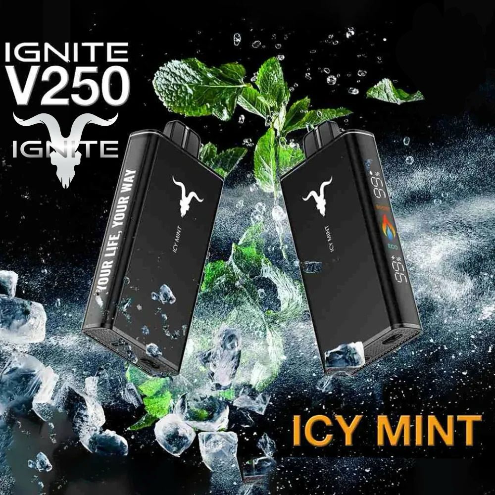 IGNITE V250 Disposable Vape in Dubai UAE